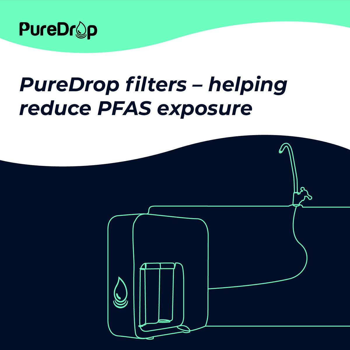 20241022_PureDrop__1-2_ins_1200x1200.jpg?v=1740558086