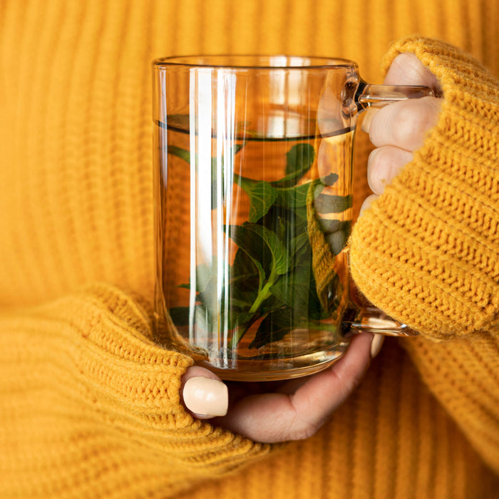 Why Pure Water Should Be Part of Your Fall Wellness Routine